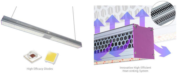 Serreleiden kweken Efficiënte Lichten en de Krachtige Commerciële Binnen Geleide Installatie van Ip65 kweekt 0