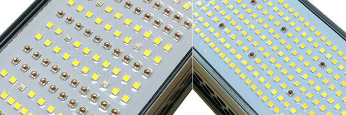 Serreleiden kweken Efficiënte Lichten en de Krachtige Commerciële Binnen Geleide Installatie van Ip65 kweekt 1
